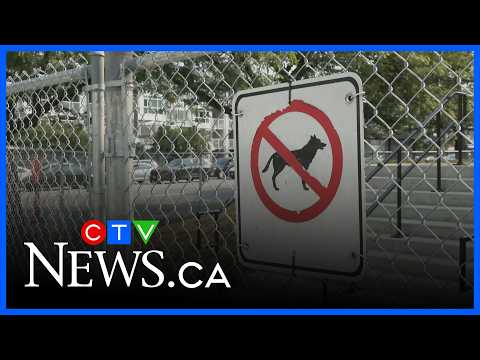 dog-owner-charged-with-negligence