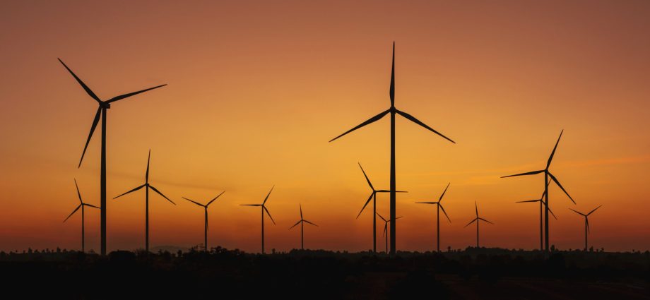 5 States With The Most Wind Turbines (And How Much Energy They Make)