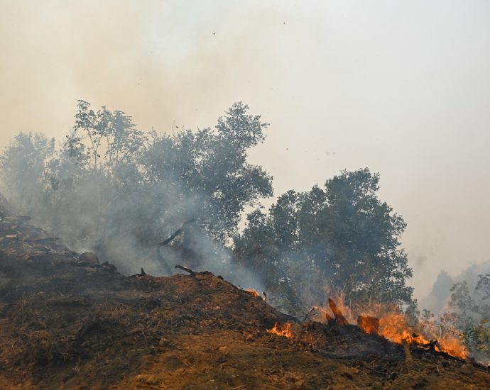 firefighter-entrapments-are-at-a-two-decade-high-for-this-point-in-the-year