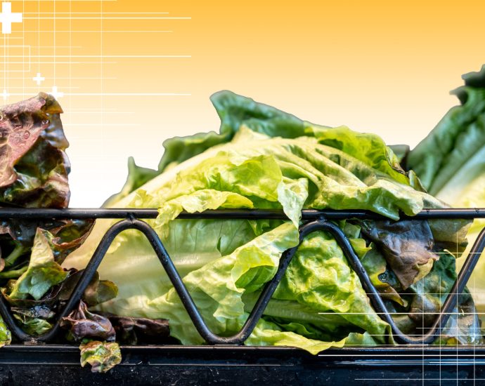 lettuce-eat-again-—-but-check-your-fridge-first