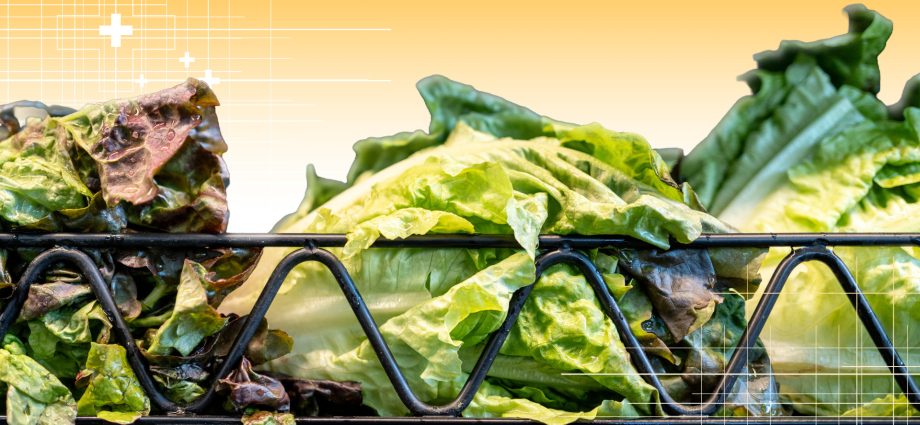 lettuce-eat-again-—-but-check-your-fridge-first