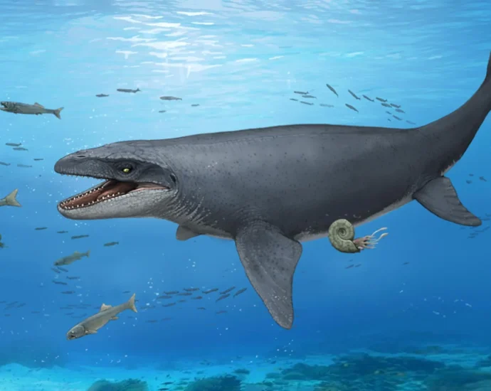 a-30-year-old-fossil-was-hiding-bones-from-a-mysterious-ancient-sea-monster