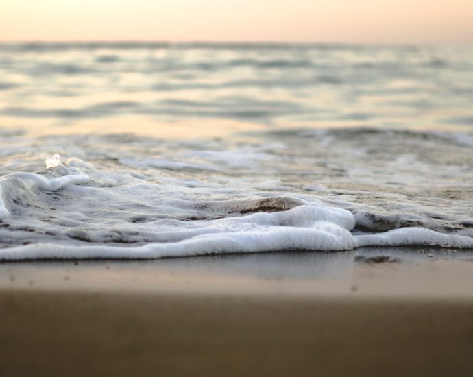 how-an-influx-of-salt-may-affect-microbial-ecosystems