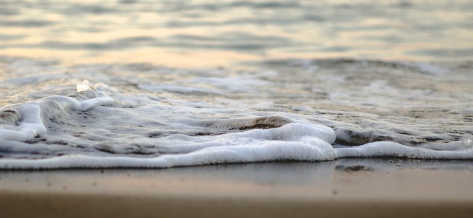 how-an-influx-of-salt-may-affect-microbial-ecosystems