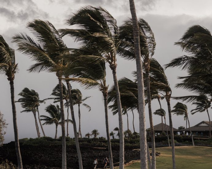 lala-is-now-a-hurricane-as-it-nears-hawaii’s-big-island