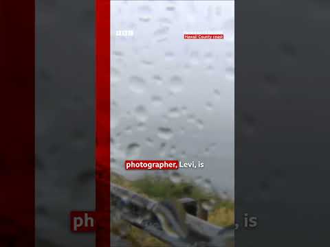 ‘it’s-actually-hard-for-us-to-see’,-says-reporter-as-hurricane-lala-looms.-#hawaii-#bbcnews