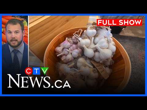heavy-rain-brings-mixed-local-harvest-|-ctv-news-ottawa-at-six-for-august-15,-2026
