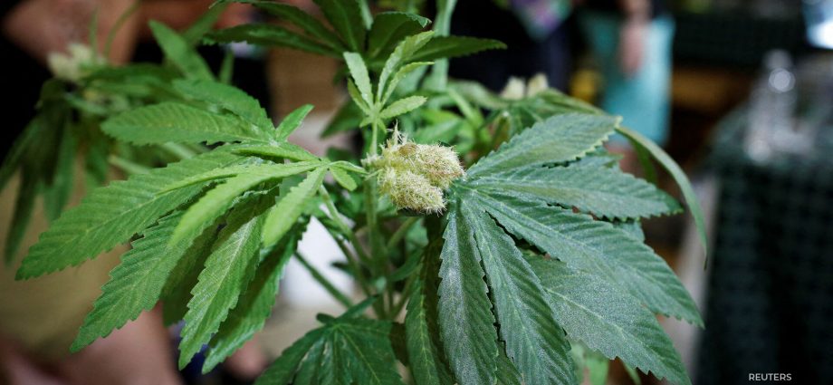 marijuana-rescheduling-fight-faces-key-monday-deadline