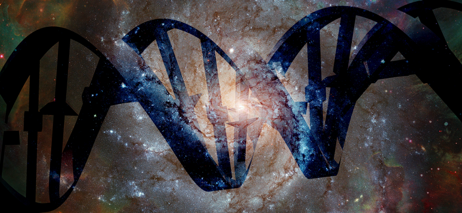 Which building blocks of life have been found in space, and which haven’t?