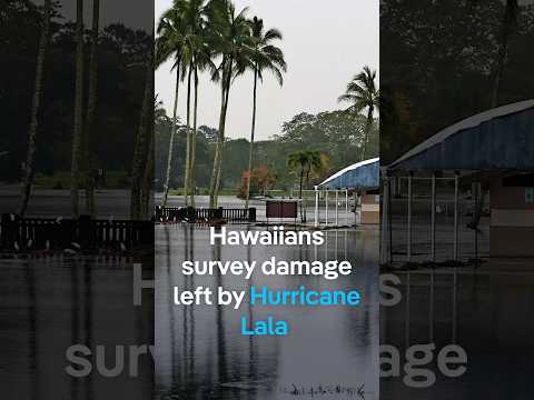 hawaiians-survey-damage-left-by-huricane-lala-|-dw-news