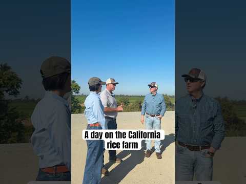ca-is-the-nation’s-2nd-largest-rice-producer,-and-the-folks-at-montna-farms-showed-me-how-it’s-done.