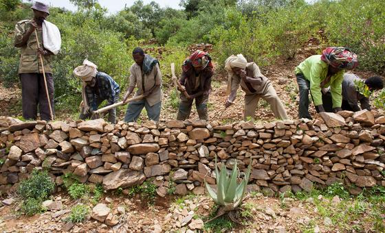 protecting-our-‘most-vital-infrastructure’:-pushing-back-on-desertification