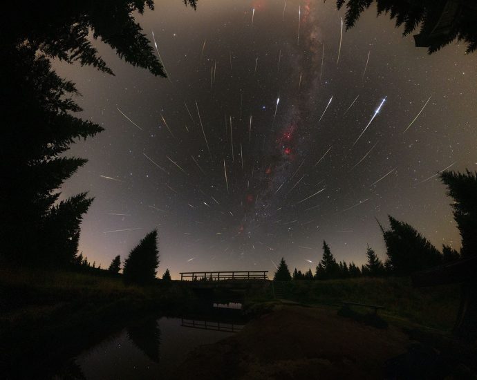 apod:-2026-august-18-–-perseids-from-perseus