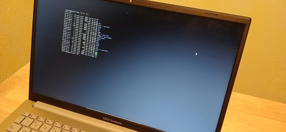 Virtual desktops, docks, and tabbed windows—Linux had them first