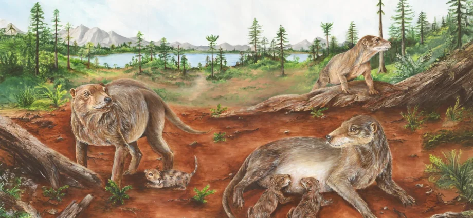 a-236-million-year-old-fossil-could-rewrite-the-story-of-mammalian-birth