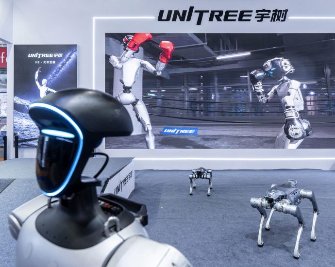 china’s-backflipping-robots-leap-to-blockbuster-stock-market-debut-in-latest-sign-of-ai-boom