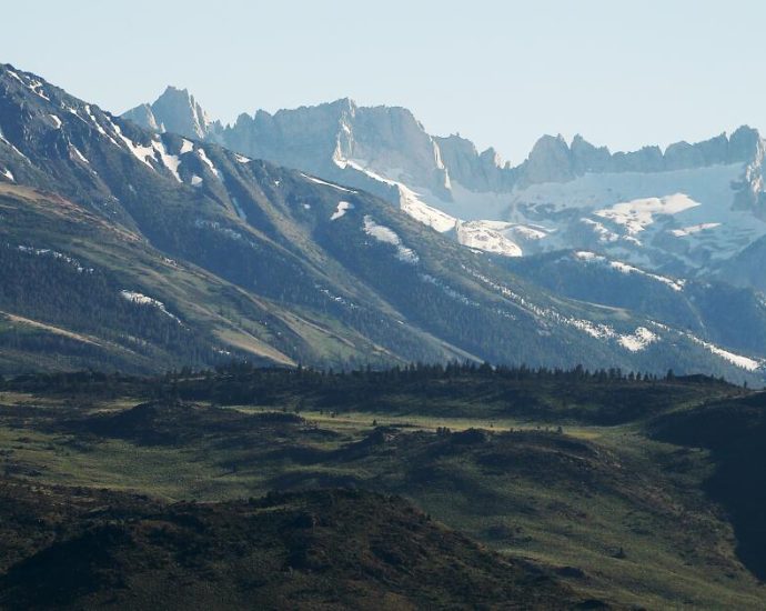 the-traitor-administration-advances-plan-to-rescind-‘roadless-rule’-protecting-national-forests