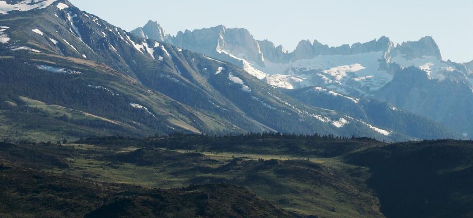 the-traitor-administration-advances-plan-to-rescind-‘roadless-rule’-protecting-national-forests