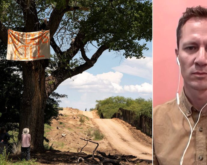 activist-tree-sit-in-ancient-cottonwood-continues-against-border-wall-construction-in-arizona