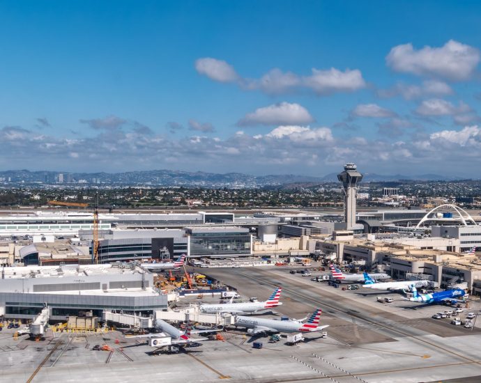 australian-man-pleads-guilty-to-assaulting-lax-tsa-officer,-to-be-sentenced-next-month