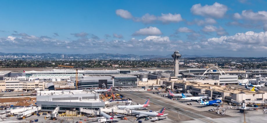 australian-man-pleads-guilty-to-assaulting-lax-tsa-officer,-to-be-sentenced-next-month