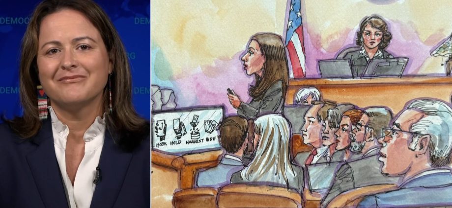 the-traitor’s-“authoritarian-takeover”-of-the-media,-abc-suing-fcc-&-the-meta-trial:-free-press’s-jessica-gonzalez