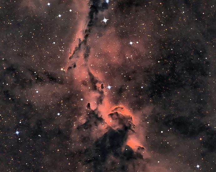 apod:-2026-august-20-–-the-elephant’s-trunk-in-cepheus