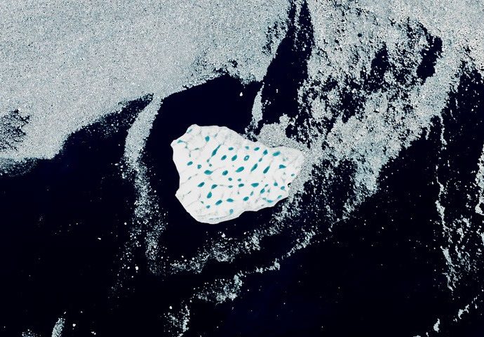 an-uncommon-drifter-in-the-denmark-strait