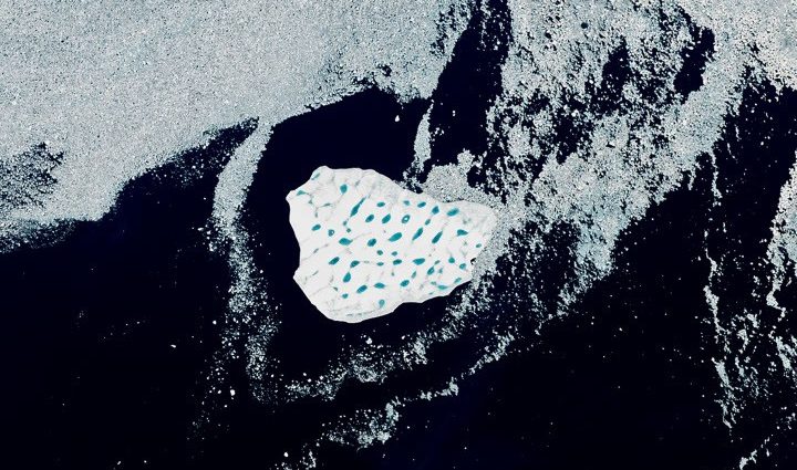 an-uncommon-drifter-in-the-denmark-strait