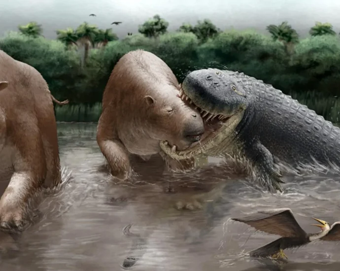 this-23-foot-crocodylian-may-have-ruled-south-america’s-food-chain