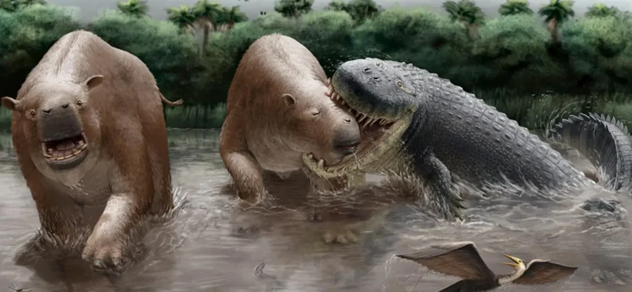 this-23-foot-crocodylian-may-have-ruled-south-america’s-food-chain