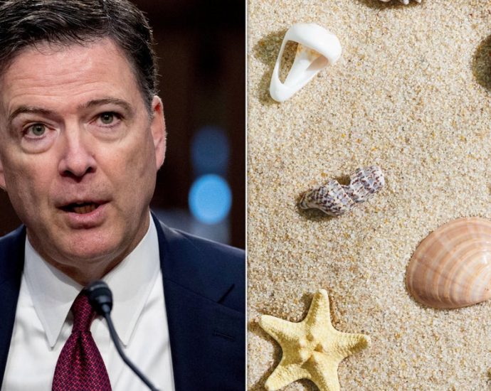 prosecutors:-‘no-serious-dispute’-comey-seashell-post-could-be-read-as-the-traitor-threat