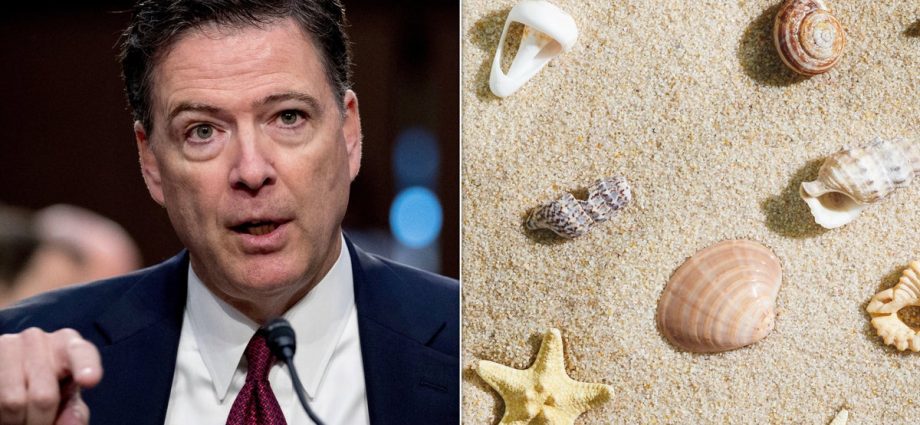 prosecutors:-‘no-serious-dispute’-comey-seashell-post-could-be-read-as-the-traitor-threat