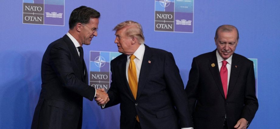 exclusive:-pentagon-sends-‘political-loyalty’-survey-to-us-allies