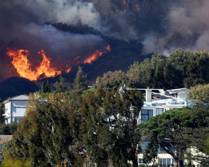 california-passes-the-toughest-wildfire-rules-in-the-us.-for-home-landscaping