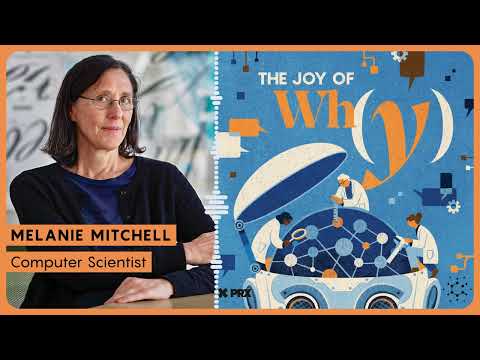 are-we-thinking-correctly-about-ai-intelligence?-|-podcast:-the-joy-of-why