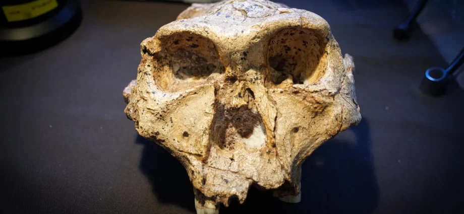 scientists-say-the-human-family-tree-may-need-a-major-rewrite