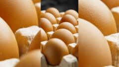 are-eggs-safe-to-eat?-your-salmonella-questions-answered
