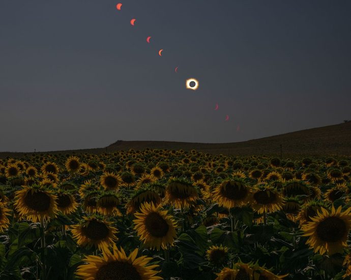 nasa-shares-views-of-august-solar-eclipse-from-ground,-air,-space