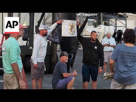 man-catches-1,260-pound-blue-marlin-believed-to-be-east-coast’s-largest-catch