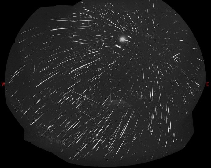 apod:-2026-august-22-–-mostly-perseids