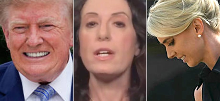 maggie-haberman-says-secret-service-‘alarmed’-over-natalie-harp-letters-to-the-traitor