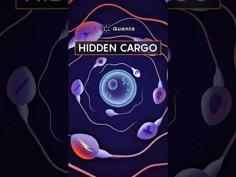sperm’s-secret-messages:-beyond-dna