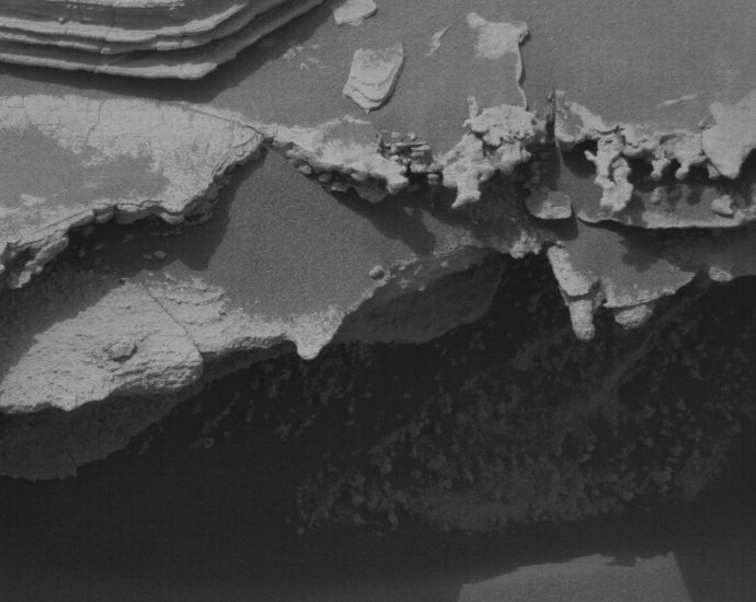 curiosity-blog,-sols-4982–4987:-back-to-our-regularly-scheduled-programming