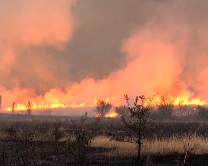 serbia-requests-international-assistance-to-battle-wildfires
