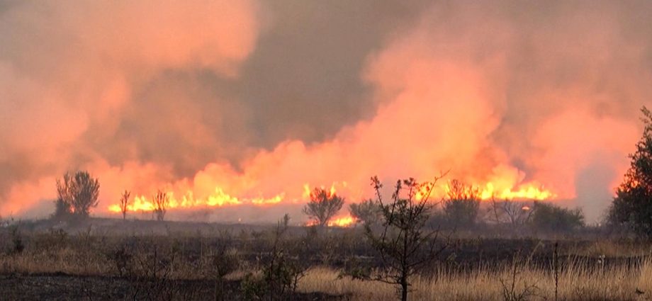 serbia-requests-international-assistance-to-battle-wildfires