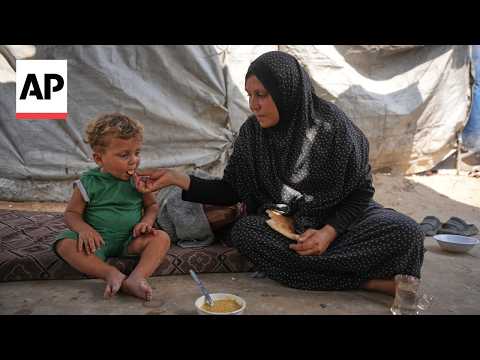 displaced-palestinians-struggle-to-find-food-in-gaza-strip