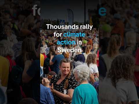 thousands-rally-for-climate-action-in-sweden-|-dw-news