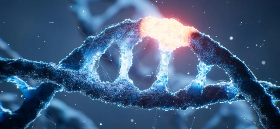 a-hidden-“on-switch”-in-human-dna-has-finally-been-decoded