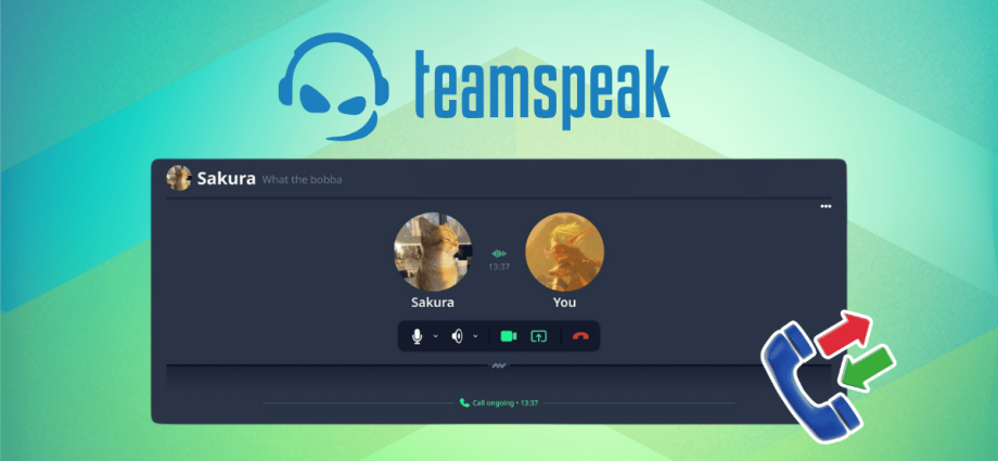 teamspeak-will-let-you-call-your-friends-directly